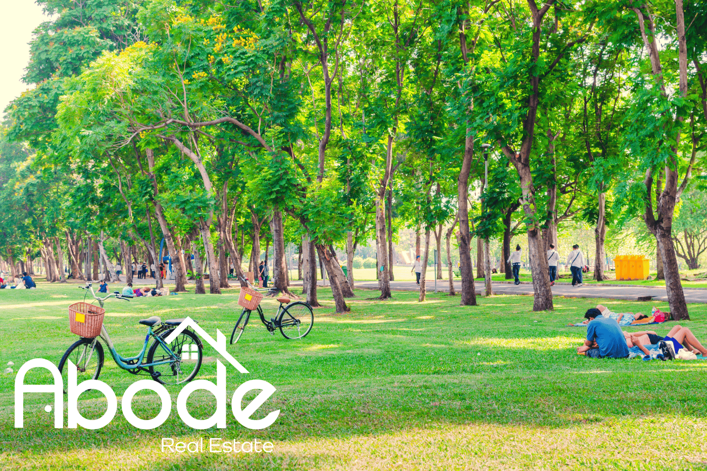Beautiful park with trees, a playground, and sports facilities near the Imperial Point neighborhood in Fort Lauderdale.