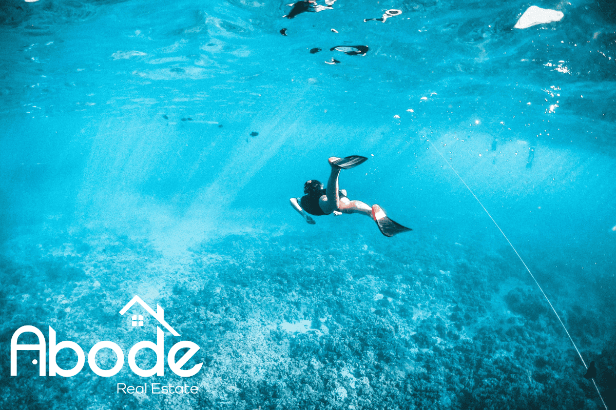 Clear turquoise waters with vibrant corals and fish off the coast of Lauderdale By The Sea.